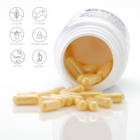 Vivameo ® 120 Mariendistel Kapseln à 700 mg 10:1 Extrakt 80% Silymarin (UV) Dose (84 g)