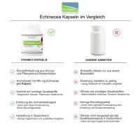 Vivameo ® 180 Echinacea Sonnenhut Kapseln à 500 mg ohne Zusätze 800 mg / TD (90 g)