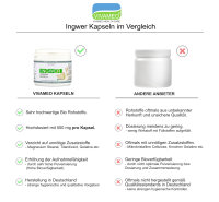 Vivameo ® Bio Ingwer Kapseln à 600 mg ohne Zusätze 100% vegan & Bio Qualität