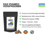 Vivameo ® OPC Traubenkernextrakt 95% Kapseln à 620 mg ohne Zusätze mit Zertifikat