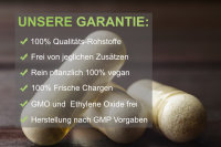 Vivameo ® OPC Traubenkernextrakt 95% Kapseln à 580 mg ohne Zusätze • 500 Kapseln • (290 g)