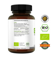 BIO CISTUS INCANUS Kapseln à 675 mg, Zistrose, Polyphenole 300 Kapseln • (202 g)