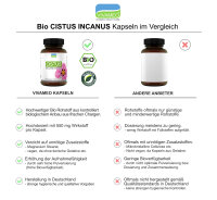 BIO CISTUS INCANUS Kapseln à 675 mg, Zistrose, Polyphenole 300 Kapseln • (202 g)
