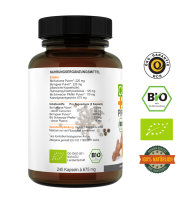 Vivameo ® Bio Kurkuma & Ingwer & Piperin Kapseln à 670 mg ohne Zusätze 480 Kapseln
