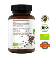 Bio Kurkuma Kapseln à 673 mg mit Bio schwarzem Pfeffer Piperin, Curcumin Vivameo ® • (202 g) 300 Kapseln