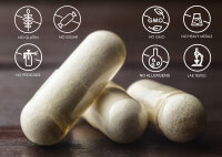 Leerkapseln HPMC • pflanzlich vegan • Größe 0 • Magensaftresistent • Zellulose 200 Stück