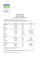 Mariendistel Extrakt Pulver 80% Silymarin (UV) zertifizierte Qualität rein  250 g